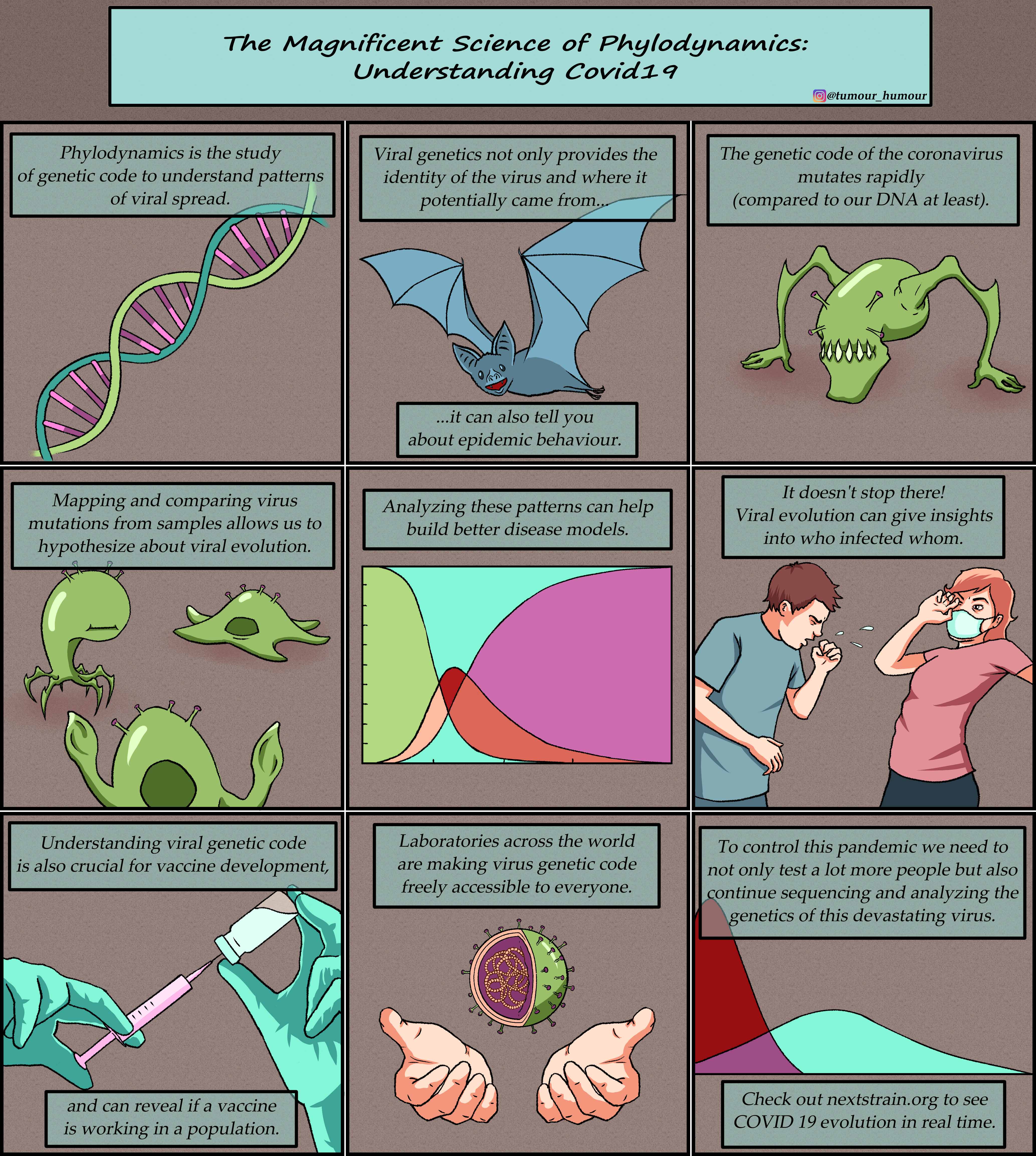 Comic explaining virus evolution